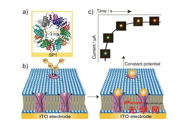 利用單納米粒子散射光譜技術(shù)實時追蹤生物分子