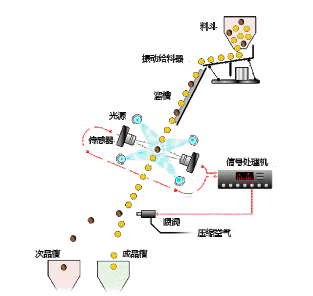 色選機工作原理動態圖