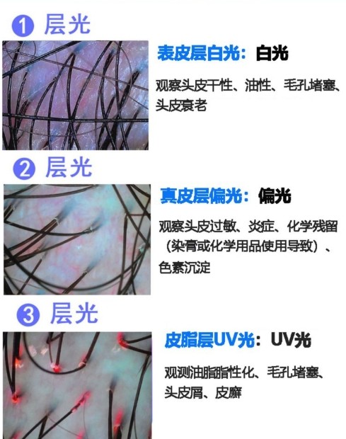 不同光對頭發的觀測效果