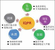 iqpr水體修復技術- iqpr水體修復技術-