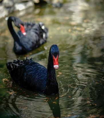 被評(píng)為“上海名牌”產(chǎn)品,這家企業(yè)究竟為民族閥門工業(yè)盡了多少力量?- 被評(píng)為“上海名牌”產(chǎn)品,這家企業(yè)究竟為民族閥門工業(yè)盡了多少力量?-