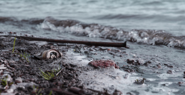 103條黑臭水體！江蘇2024年全省農(nóng)村環(huán)境整治工作計(jì)劃！