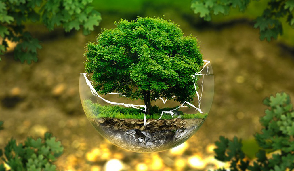 中國水環境集團：綠色低碳技術驅動水務價值重構